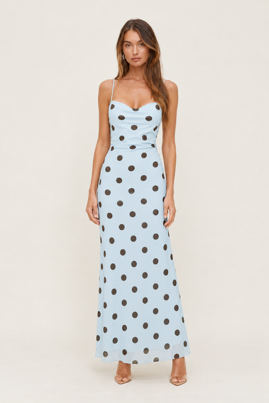 Blue Polka Dot Maxi Dress